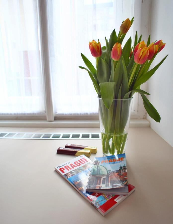 Apartamento Lovely Lila